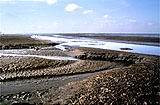 Wattenmeer in Cuxhaven